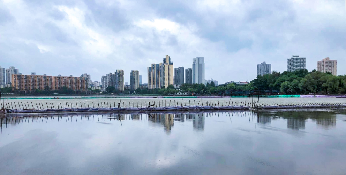 建鄴區莫愁湖湖體水質提升—清淤及生態修復工程施工